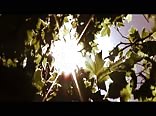 AA Vid M - Shame Short Gay Tube Film (2010)