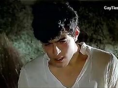 About 2 dozen mainstream movie clips showing naked men
