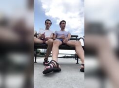 ABX Clips - Friends in the park