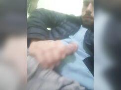 Algeris driver