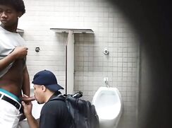 Amateur Bathroom Fun Twink Guys Porn