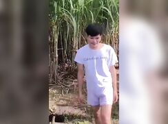 Asian boy in jungle