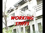 Asian Sex Working Stiffs Gay Porn