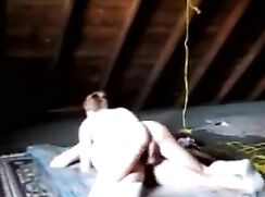 Attic antics part 2