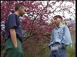 Balkan Boys
