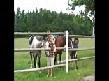 Bareback Ranchers Gay Porn Boys