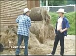 Bareback Ranchers Too Gay Porn Videos