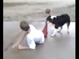 Basket ball.Boy vs dog