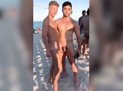 Beach Bros 4
