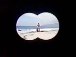 Beached (Vintage 70's)