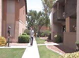 BoyCrush - Bare Twink Intentions Gay Porn