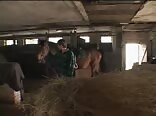 Boys Juice Country Farm Boys Gay Porn - Full movie