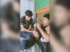 Bros Motes 12