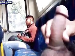 Bus cum 002