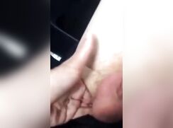 Car Bros 5