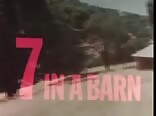 Classic American Gay Porn - Seven In A Barn, 1969