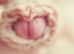 Close up delicious and lickable foreskin