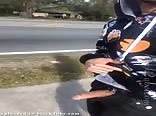 Cock Needs Fresh Air Too