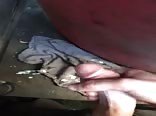 Curved Cock Shoots & Hits Wall Beside Himself