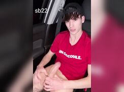 Cutie Nuts in his Car gets a Visitor