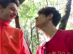 day in the woods guys porn tube