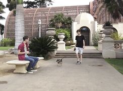 Doing It Doggy Style Gay Porn Bareback Fuck