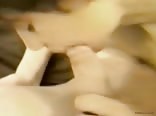 Dream Boy - Man's Best gaymaletube