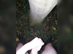 Dutch sub boy