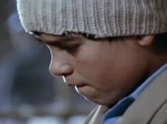 DUVAR 1983