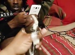 Ebony Creamsickle