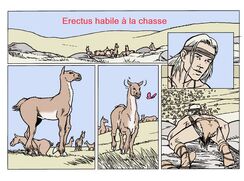 ♥ Erectus habile à la chasse ♥