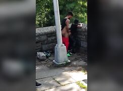 Exhibitionist Fuck in Public Park