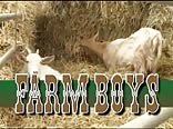 Farm Boys