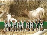 Farm Boys Fucking Gay Porn Videos