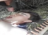 Farmboy Facial