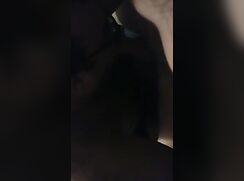 fat bear eating dick