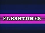 Fleshtones - Vintage Gay Porn Videos