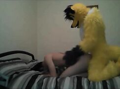 Furry sex twink boys porn