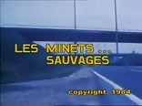 Gay Tube - Les Minets Sauvages (Full Movie)