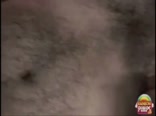 Gay Tube-Bears Seduce Twinks