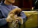 Gay Tube Puppy Love Unchained Men - Classic US-Twink Porn
