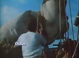 GAYTUBE Western Lights