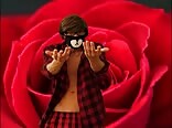 Happy Valentine Day Twink Happy