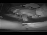 Horny stoner feeds two loads gay tube