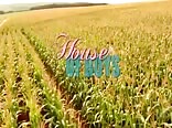 House of Boys (2009)