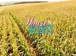 House of Boys (2009) short films movie 