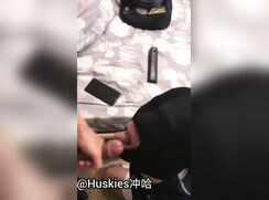 In Huskies Mouth