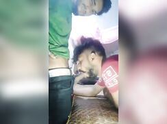 Indian bj 004