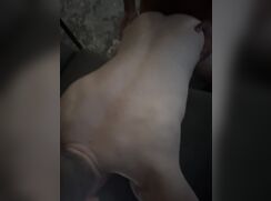 jock cumdump