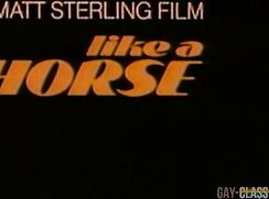 Like a Horse - Full Length